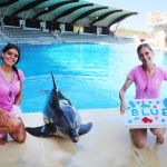 Nei parchi Costa... la Notte Rosa è arrivata in anticipo!