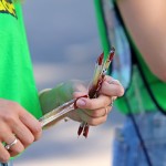 Goleador all'Aquafan 