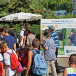 Grande Festa d'Estate per Banca Malatestiana ai parchi Costa 