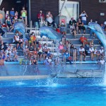 Torniamo aperti il 15 giugno!